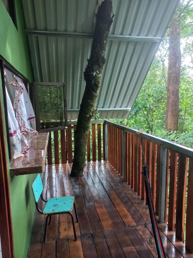 Cabana Escondida Rio Celeste San Rafael De Guatuso 외부 사진